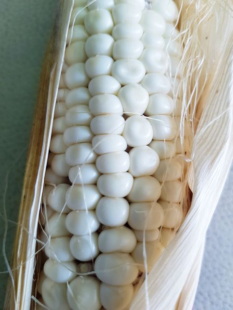 Now, this is white corn, if it is boiled, it tastes sweet, which is different from even sweet corn. White Corn, White Food, White Garden, White Gardens, Sweet Corn, Vegetable Soup, Corn, White, Quick Saves