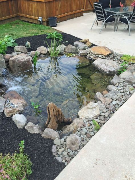 This Backyard Fish pond installation included an Aquascape Ecosystem 8′x11′ Pond with waterfall. The Pond was installed next to the pool for optimum enjoyment w… Fish Pond Gardens, Kolam Koi, Backyard Ponds, Taman Air, Garden Pond Design, Diy Pond, Small Pond, Pond Waterfall, Pond Water Features