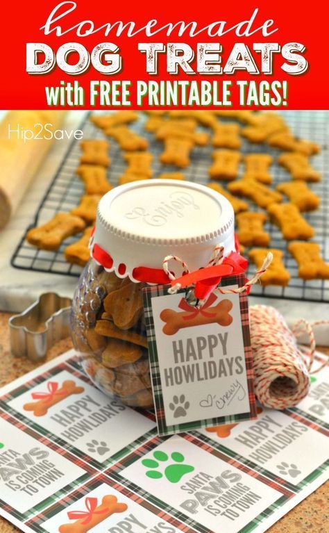 Homemade Dog Treats Recipe with FREE Printable “Happy Howlidays” Gift Tags Dog Treats Recipe, Lancashire Heeler, Dogs Treats, Canadian Animals, Christmas Dog Treats, Dog Biscuit Recipes, Easy Dog Treats, Healthy Dog Treats Homemade, Pumpkin Dog Treats