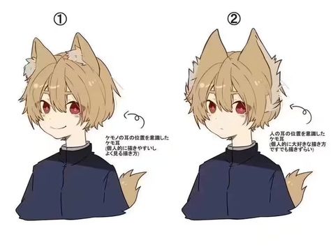 Cat Ears Character Design, Anime Pose Tutorial, Ears Drawing, 캐릭터 드로잉, Arte Inspo, Cat Ear, Anime Drawings Tutorials, 영감을 주는 캐릭터, Art Tutorials Drawing