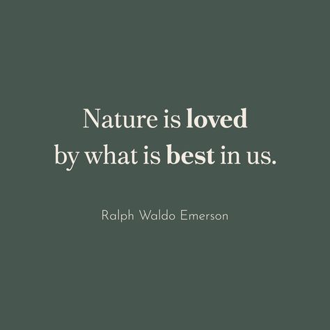 Nature is loved by what is best in us. Quote A New Earth, Earth Quotes, Planet Love, World Environment Day, New Earth, Earth Friendly, Save The Planet, The Earth, Nature Inspiration