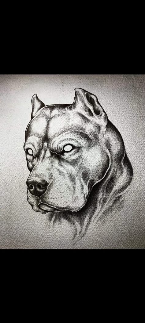 Bully Dog Tattoo, Realism Tattoo Sketch, Pitbull Tattoo For Men, Dog Tattoo Pitbull, Angry Dog Tattoo, American Bully Tattoo, Pit Bull Tattoo Ideas, Pitbull Tattoo Design, Pitbulls Tattoo