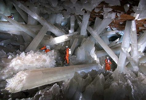 Cave of crystals, Mexico Giant Crystal, Gypsum Crystal, Dark Hedges, Crystal Cave, Amazing Places On Earth, Large Crystals, Gems And Minerals, Crystals Minerals, Out Of This World