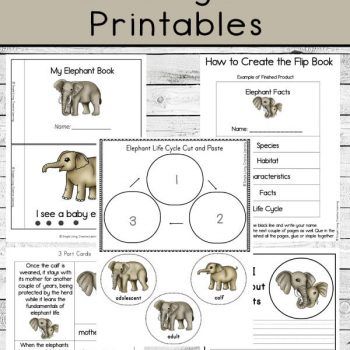 Free Printables Archives | Free Homeschool Deals © Animals Studying, Life Cycle Worksheet, Elephant Information, All About Elephants, Alphabet Bingo, Cycle For Kids, Elephant Facts, Elephant Book, Free Homeschool Printables