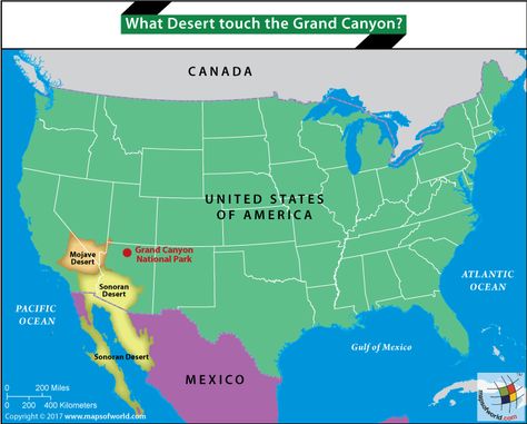 What #Desert touch the #GrandCanyon? #SonoranDesert #MоjаvеDesert #Cаlifоrniа #answers Grand Canyon Map, Gran Canyon, American History Timeline, History Timeline, Sonoran Desert, Usa Map, Grand Canyon National Park, The Grand Canyon, Gulf Of Mexico