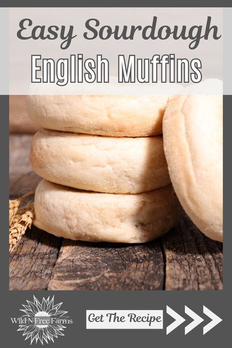 easy sourdough english muffins Sourdough English Muffin Recipe, English Muffin Bread Recipe, English Muffin Recipe, Sourdough Muffins, Sourdough English Muffins, English Muffin Bread, English Muffin Recipes, Easy Sourdough, Simple Muffin Recipe