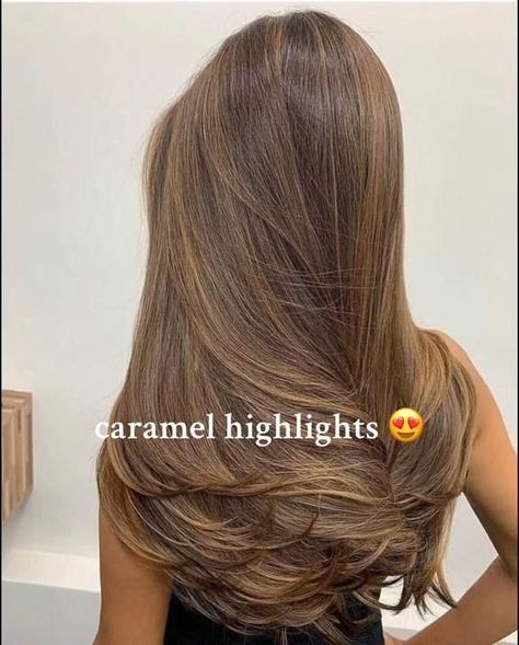 caramel highlights on brown hair>>brunette highlights darkbrownhair caramelhighlights Caramel Tips On Brown Hair, Caramel Highlights On Medium Brown Hair, Brunette Hair Caramel Highlights, Caramel Highlights Straight Hair, Caramel Hair Colour, Hair Brunette Highlights, Brunette With Caramel Highlights, Dark Brown Hair With Caramel Highlights, Black Hair With Brown Highlights