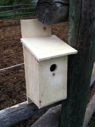 Bluebird House Plans, Birdhouse Plans, Wren House, Wren Bird, Carolina Wren, Free Pallets, Bluebird House, Bird House Plans, House Diy