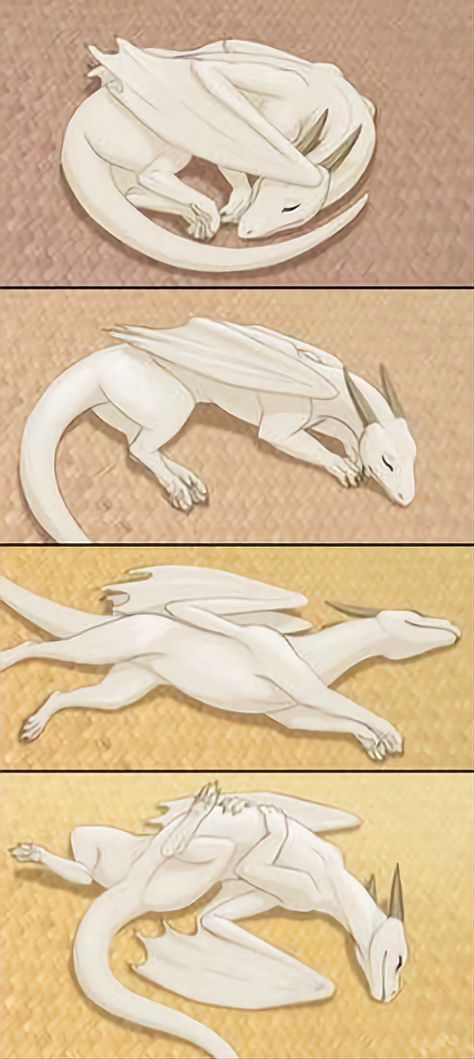 Sleepy Dragon, Dragon Sleeping, Dragon Poses, Sleeping Drawing, Realistic Dragon, Dragon Base, Cute Dragon Drawing, Sleeping Animals, 3d Art Drawing