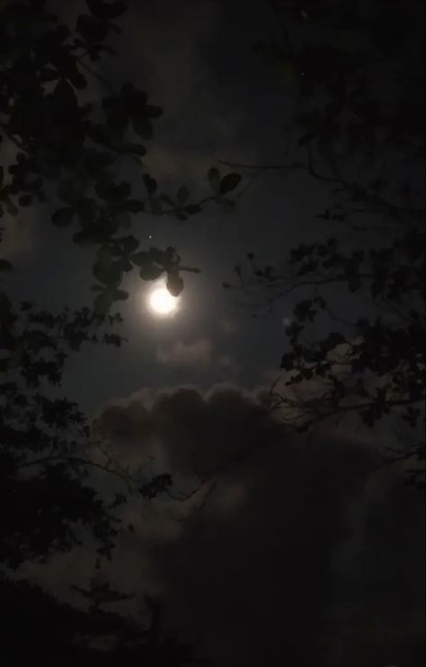 Moonlit Night Aesthetic, Song Of Silver Flame Like Night Aesthetic, Moonlight Forest Aesthetic, Book Of Night Aesthetic, Ethereal Night Aesthetic, Dark Forest Aesthetic Night Moon, Nature At Night Aesthetic, Woods Night Aesthetic, Moonlit Forest Aesthetic