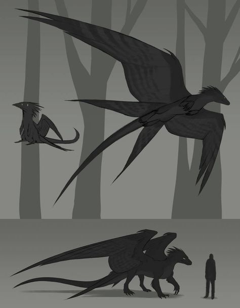 Four Winged Dragon, Bird Dragon, Wings Of Fire Dragons, Dragon Sketch, Cool Dragons, Mythical Animal, Creature Drawings, Dragon Pictures, Fantasy Creatures Art