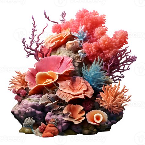 coral reef isolated on transparent background ,sea coral reef cut out ,generative ai Coral Reef Craft, Coral Reef Drawing, Coral Drawing, Coral Reef Art, Background Sea, Coral Sculpture, Coral Background, Coral Art, Beautiful Sea Creatures