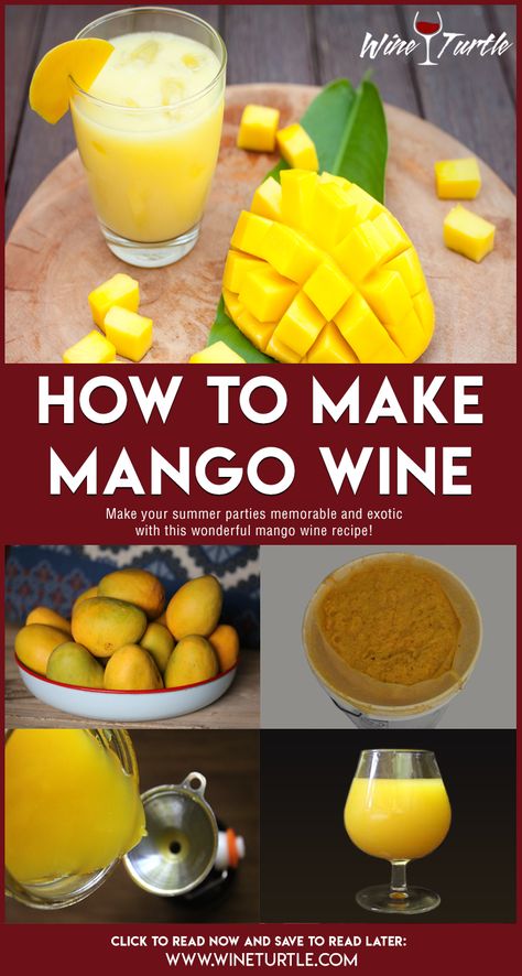 Home Made Alcohol, Wine Recipes Homemade, Home Made Wine, Lemon Wine Recipe, Tomato Wine Recipe, Easy Wine Recipes, Fruit Wine Recipes, Mango Wine, Wine Making Recipes