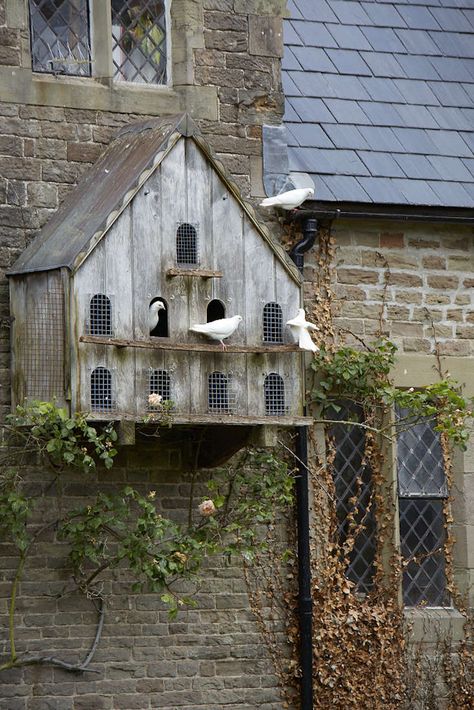 Old Birdhouses, Dove Cote Ideas, Birdhouse Aesthetic, Dove Bird House, Dove Cote, Dove House, Building Wall, Beautiful Birdhouses, Garden Birdhouses