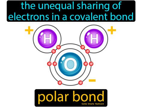 Polar Bond definition: The unequal sharing of electrons in a covalent bond. Ela Foldables, Chemistry Facts, Chemical Bonds, Covalent Bonds, Chemical Bonding, Erwin Schrödinger, General Knowledge For Kids, Teas Test, General Chemistry