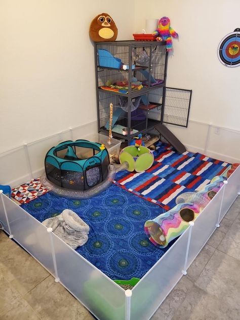 Diy Ferret Play Area, Ferret Free Roam Area, Small Animal Cage Ideas, Big Ferret Cage, Ferret Habitat Ideas, Ferret Diy Cage, Ferret Setup Ideas, Ferret Enclosure Indoor, Homemade Ferret Cage