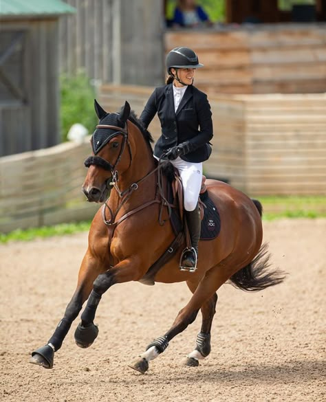 Riding Aesthetic, Horse Photography Poses, Horsey Life, Horse Riding Aesthetic, Smile Day, Aesthetic Old Money, Horse Competition, World Smile Day, Equestrian Shop