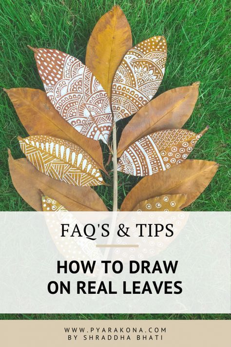 How To Paint On Leaves, Drawing On Leaves, Dried Leaves Crafts, Real Leaf Art, Leaf Art Diy, Dry Leaf Art, Autumn Leaves Craft, Leaf Projects, Framed Leaves