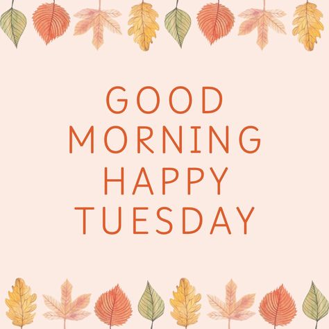 Good morning 🌞 
Happy Tuesday! 
Hello October🍂🍁🎃
Wishing you a wonderful day and joyous month!
💋💜 Good Morning Happy Tuesday, Happy Tuesday Morning, Hello Tuesday, Good Morning Tuesday, Hello October, Nice Quotes, Tuesday Morning, Good Morning Happy, Happy Tuesday