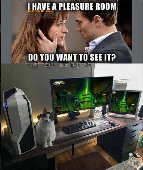 I Have a Pleasure Room is an exploitable meme featuring a screenshot from the 2015 film Fifty Shades of Grey. #funnymemes #memes #lol Warcraft Funny, Cat Office, Wow Meme, Pleasure Room, For The Horde, My Candy Love, Ps5 Controller, Video Game Memes, Gamer Humor