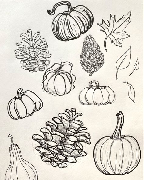 Pumpkin and pinecone sketches I made in preparation for some new stickers I want to make. Also wanted to practice some pen drawing before October! #pumpkin #inkdrawing #sketch Pumpkin Sketches To Draw, Fall Ink Drawing, White Board Ideas Drawings Fall, Simple Scarecrow Drawing, Pinecone Drawing Simple, Realistic Pumpkin Tattoo, Smashed Pumpkin Drawing, Easy Fall Sketches, Pumpkin Patch Drawing Easy