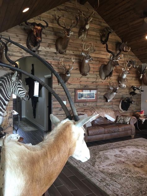 Deer Trophy Room, Deer Trophy Wall, Taxidermy Interior Design, Hunting Trophy Display Ideas, Hunters Cabin Interior, Man Cave Hunting Room, Taxidermy Display Ideas, Deer Head Mount, Taxidermy Room Ideas