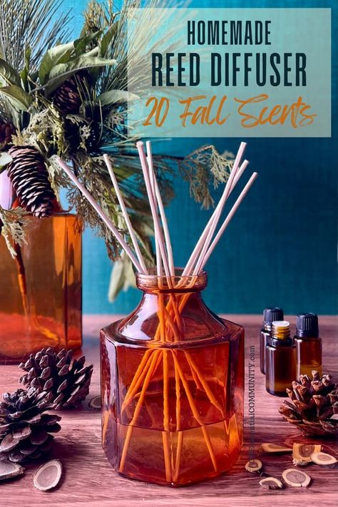 Reed Diffuser Recipe, Reed Diffuser Diy, Diy Reed Diffuser, Vanilla Bean Candle, Homemade Diffuser, One Essential Community, Homemade Reed Diffuser, Diy Essential Oil Diffuser, Diffuser Diy