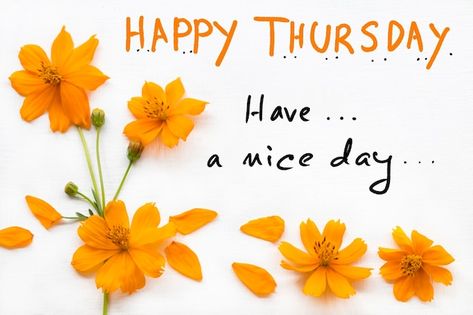 Morning Thursday Images, Card Handwriting, Morning Prayer Images, Flowers Cosmos, Good Morning Thursday Images, Thursday Images, Thursday Greetings, Good Morning Msg, Good Thursday