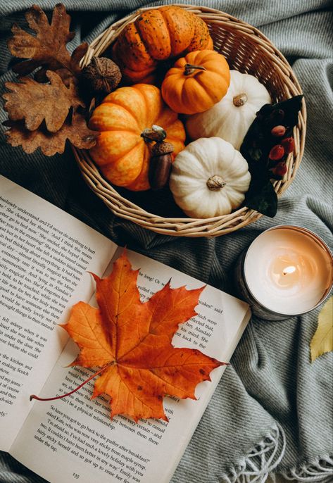 September Fall Aesthetic, October Vibes Aesthetic, Fall Pumpkin Aesthetic, Autumn Flatlay, Pumpkin Gingerbread, Autumn Magic, Autumn Nature, Happy Fall Y'all, Autumn Vibes