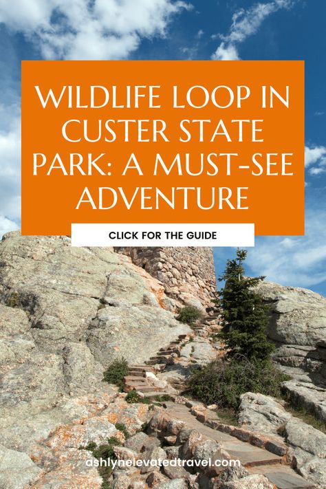 Discover the beauty of Custer State Park with this guide to the Wildlife Loop. Located in Custer South Dakota, this scenic route offers incredible views and a chance to spot wildlife up close. Perfect for exploring Custer State Park with kids and experiencing the best of Black Hills South Dakota. An ideal stop for us travel destinations when you travel with kids or travel with baby. Travel With Baby, Custer South Dakota, Black Hills South Dakota, Custer State Park, Us Travel Destinations, Travel South, Scenic Routes, Black Hills, Incredible Places