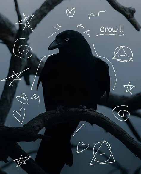 Made by me!! Please do not repost. Ravens Astethic, Crow Icon, Crow Therian, Crow Pfp, Crows Drawing, Raven Wings, Maned Wolf, Raven Bird, Crow Art