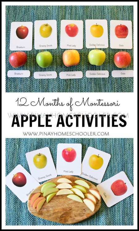 Apple Lesson Plans, Apple Autumn, Montessori Activities Preschool, Apple Lessons, Apple Preschool, Apple Unit, Montessori Lessons, Nutrition Activities, Fall Preschool Activities