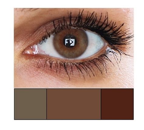 Chestnut Eyes Color, Soft Summer Brown Eyes, Brown Summer Color Palette, Soft Autumn Eyes, Dark Autumn Makeup, Brown Hazel Eyes, Dark Hazel Eyes, Brown Eye Color, Deep Autumn Makeup