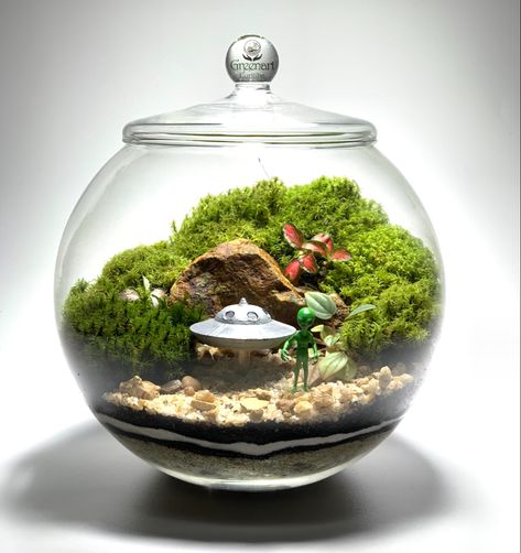 Alien Terrarium, Terrarium Scene, Peace Garden, Witch Crafts, Terrarium Ideas, Mini Gardens, Mini Terrarium, Alien Invasion, Workshop Ideas