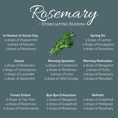 Rosemary Essential Oil Blends, March Diffuser Blends, Rosemary Diffuser Blends, Doterra Diffuser Blends, Essential Oil Combinations, Essential Oil Diffuser Blends Recipes, Essential Oils Guide, Essential Oil Diffuser Recipes, Oil Diffuser Recipes