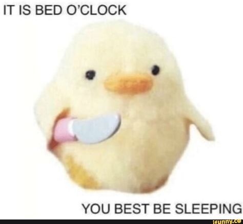 IT IS BED O’CLOCK YOU BEST BE SLEEPING – popular memes on the site iFunny.co #animals #animalsnature #relatable #tumblr #alternatefeatures #cute #derekthepotato #it #is #bed #oclock #you #best #be #sleeping #pic Response Memes, Snapchat Stickers, Current Mood Meme, Cute Love Memes, Meme Comics, Debby Ryan, Snapchat Funny, Cute Memes, Funny Reaction Pictures