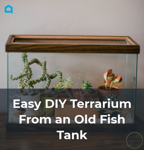 What To Do With Old Fish Tanks, Repurpose Fish Tank, Old Aquarium Ideas Diy Upcycle, Old Fish Tank Ideas, Repurposed Fish Tank, Reuse Pill Bottles, 10 Gallon Fish Tank, Banquette Ideas, Fish Tank Gravel