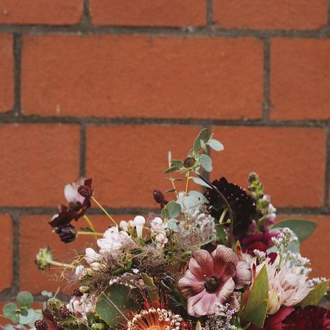 Bramble & Wild on Instagram: "A hint of the autumn vibes with this gorgeous bouquet with lots of heat loving blooms ❤️ #bridalbouquet #weddinginspo #bridetobe #fromewedding #somersetwedding #proteabouquet" Protea Bouquet, Gorgeous Bouquet, Bramble, Autumn Vibes, July 12, Fall Vibes, Bridal Bouquet, Wedding Inspo, Instagram A