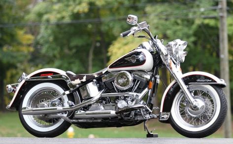 Cow Glide – 1993 Harley-Davidson Heritage Softail FLSTN | Bike-urious Softail Springer Bobber, Honda Bobber, Softail Bobber, Softail Springer, Star Motorcycles, Motos Harley, Softail Custom, Biker Quotes, Softail Deluxe