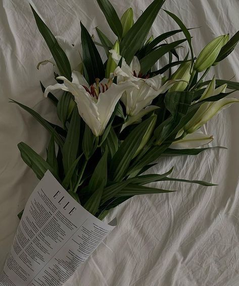 Lilium Flower, Lily Wallpaper, Cora Reilly, Nothing But Flowers, Flowers For You, White Lilies, Plant Mom, Night Aesthetic, Clean Girl