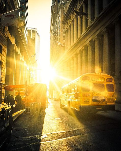 Morning Hour in Financial District · · · #sunrise #bus #schoolbus #sonne #manhattan #newyork #nyc #backlight #schoolbusdriver #sun… School Bus Driver, Nyc Subway, Financial District, Morning Sun, School Bus, Manhattan, Mood Board, The Sun, Photo Wall