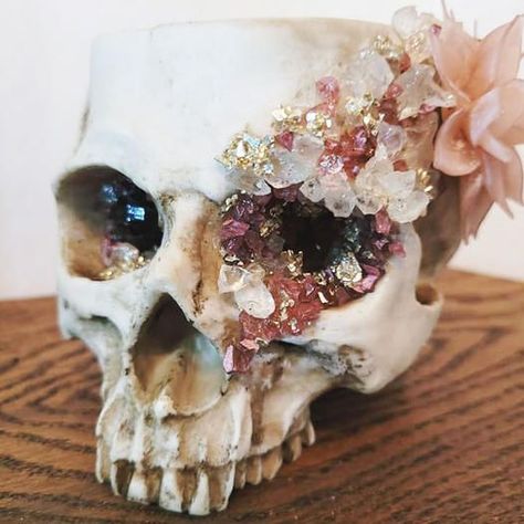 Oddities Crafts Diy, Skull Succulent, Decorated Skulls, Oddities Decor, Homemade Decorations, Diy Skulls, Skull Planter, Skull Crafts, Taxidermy Art