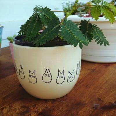 Totoro planter Ghibli Ceramics, Ceramic Cafe, Diy Pottery Painting, Color Me Mine, Painted Pots Diy, Paint Your Own Pottery, Pottery Painting Designs, Keramik Design, Diy Pottery