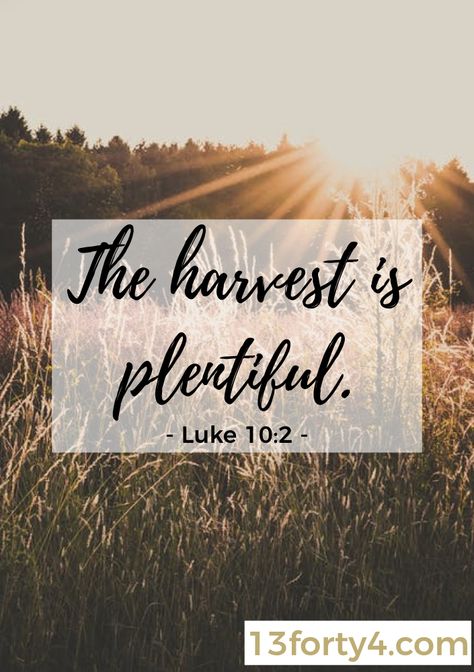 "And he said to them, 'The harvest is plentiful, but the laborers are few. Therefore pray earnestly to the Lord of the harvest to send out laborers into his harvest.'" - Luke 10:2   There is plenty of work to be done! Use the link to learn more from this Bible verse!  #bible #bibleverse #verse #scripture #christianblog #biblestudy #devotions #devotional #faith #hope Harvest Scripture Quotes, Christian Harvest Quotes, Bible Verse About Farming, The Harvest Is Plentiful, Harvest Scripture, Thanksgiving Bible Verses Printables, Thanksgiving Church Bulletin Boards, Harvest Quotes, Fall Scripture