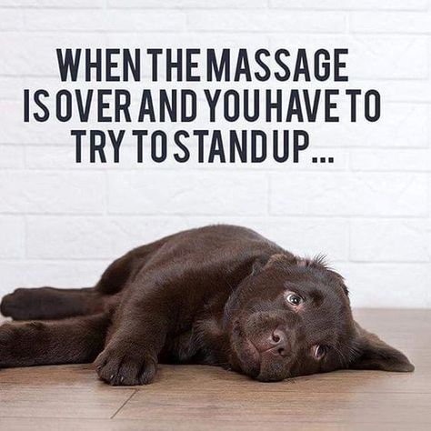 Massage Meme, Massage Funny, Massage Therapy Quotes, K Tape, Massage Marketing, Remedial Massage, Massage Quotes, Massage Therapy Business, Pregnancy Massage