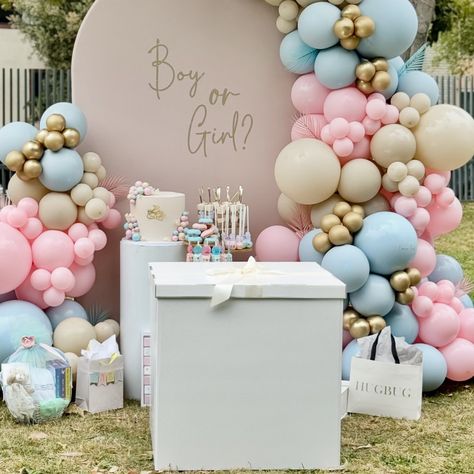 Our Extra Large Box Available for Your Gender Reveal . #genderreveal #balloonreveal #boyorgirl #pinkorblue #itsaboy #itsagirl #teampink #teamblue #balloondecor #partydecor #genderparty #surprise #cantwait #excitedparents #babynumber Gender Reveal Box Ideas, Gender Reveal Centerpieces, Box Gender Reveal, Summer Baby Shower Themes, Gender Reveal Box, Team Pink, Gender Party, Summer Baby Shower, Baby Gender Reveal Party