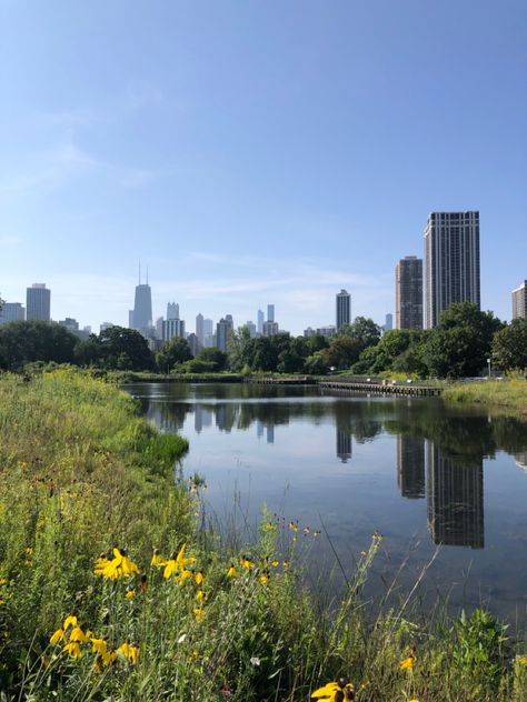 This picture was taken at Lincoln Park in Chicago. The scene features a pond with a variety of plants along the edges with the city’s skyline in the distance, which reflects on the water. Lincoln Park Chicago Aesthetic, Lincoln Park Zoo Chicago, Lincoln Park Chicago, Chicago Park, Chicago Aesthetic, Chicago Summer, Lincoln Park Zoo, Chi Town, Picnic Birthday