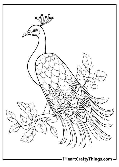 Peacock Tracing Design, Peacock Outline Drawing, Peacock Trace Design, Peacock Colouring Page, Peacock On Tree Drawing, Peacock Coloring Pages, Front Page Design, Peacock Pictures, Lippan Art