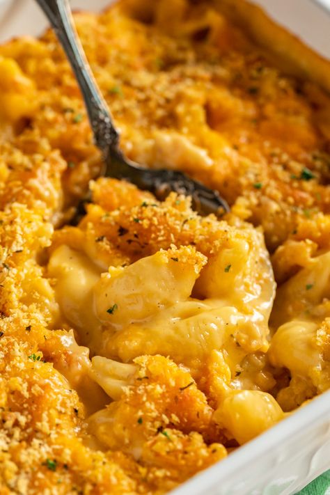 Mac And Cheese Shells Recipe, Home Made Mac And Cheese Recipe, Best Mac And Cheese Recipe Easy, Best Baked Mac And Cheese, Easy Mac N Cheese Recipe, Easy Mac N Cheese, Best Mac N Cheese Recipe, Baked Mac And Cheese Recipe, Baked Macaroni And Cheese