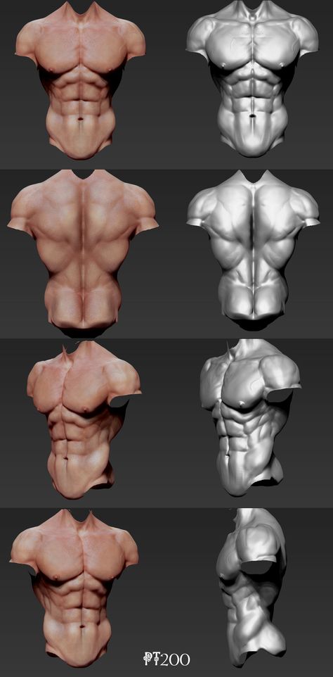 Man Back Anatomy Drawing Reference, Men’s Torso Drawing, Man's Anatomy Drawing, Man Anatomy Back, Male Anatomy Diagram, 3d Male Anatomy, Pectoral Reference, Torso Study Drawing, Male Anatomy Sculpture